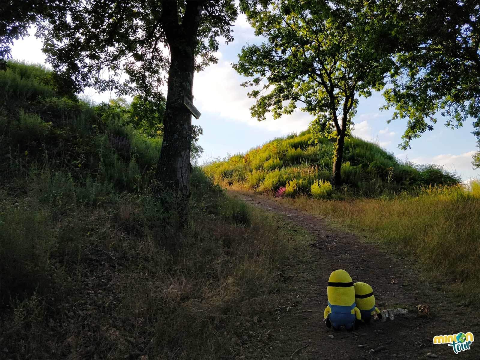El Castro de Castromaior, un castro en pleno Camino de Santiago