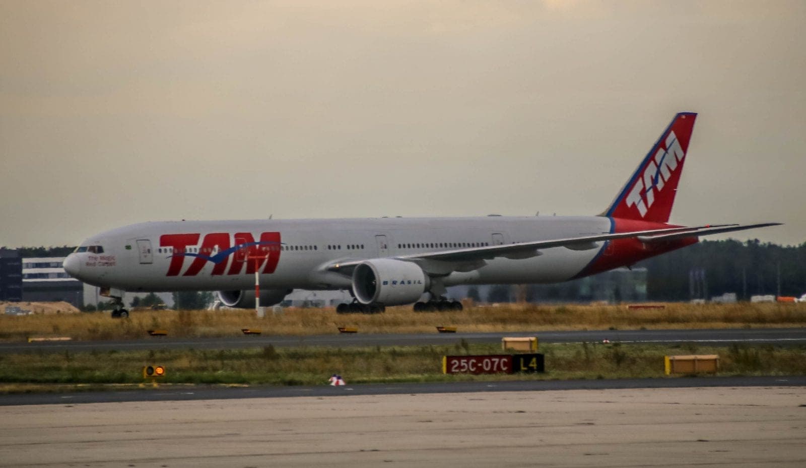 TAM