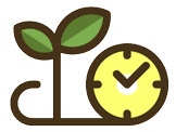 Tree Farm Planting Guide