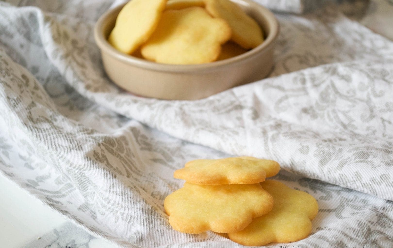 Biscotti Salati Al Parmigiano Bimby Ricette Bimby