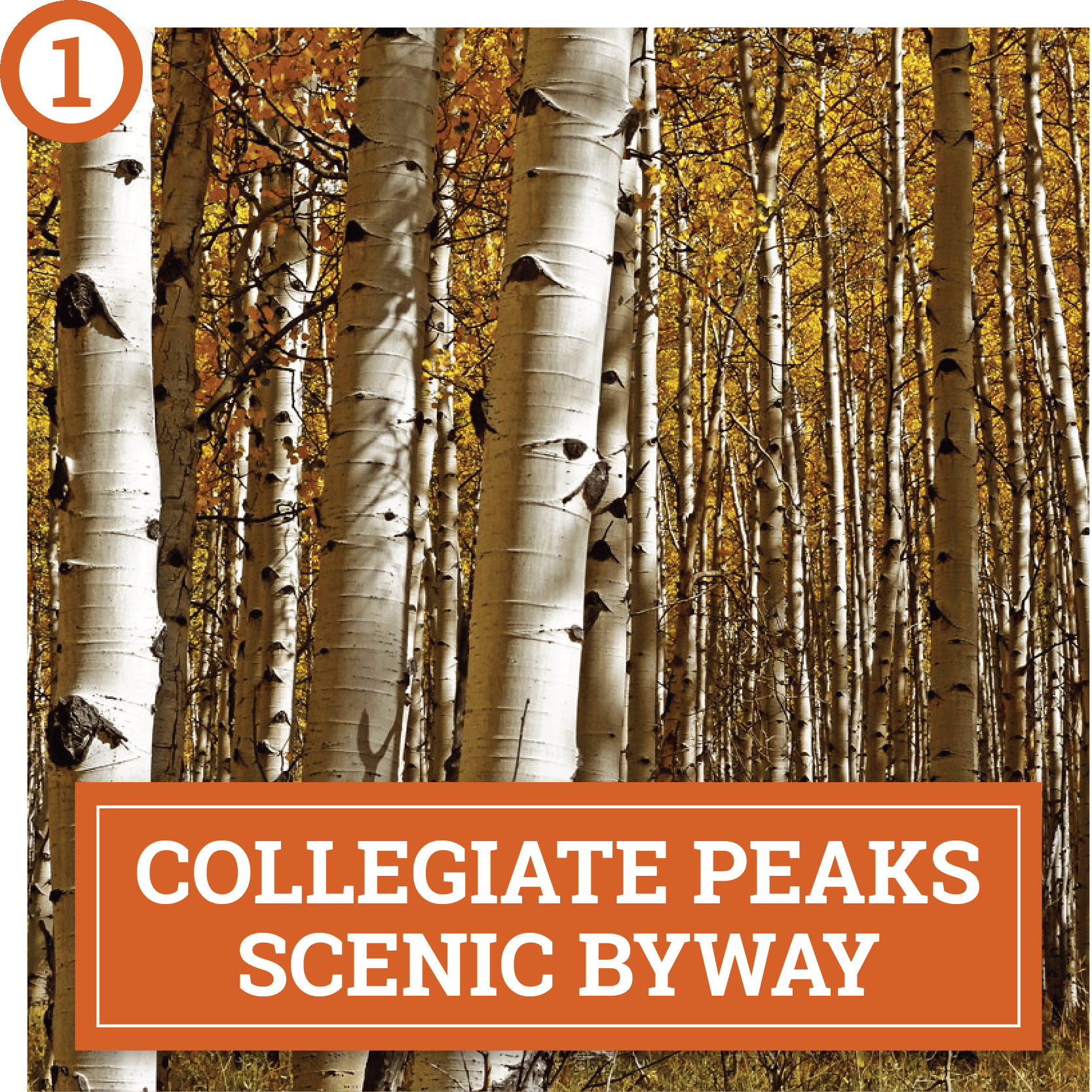choose your own autumn adventure