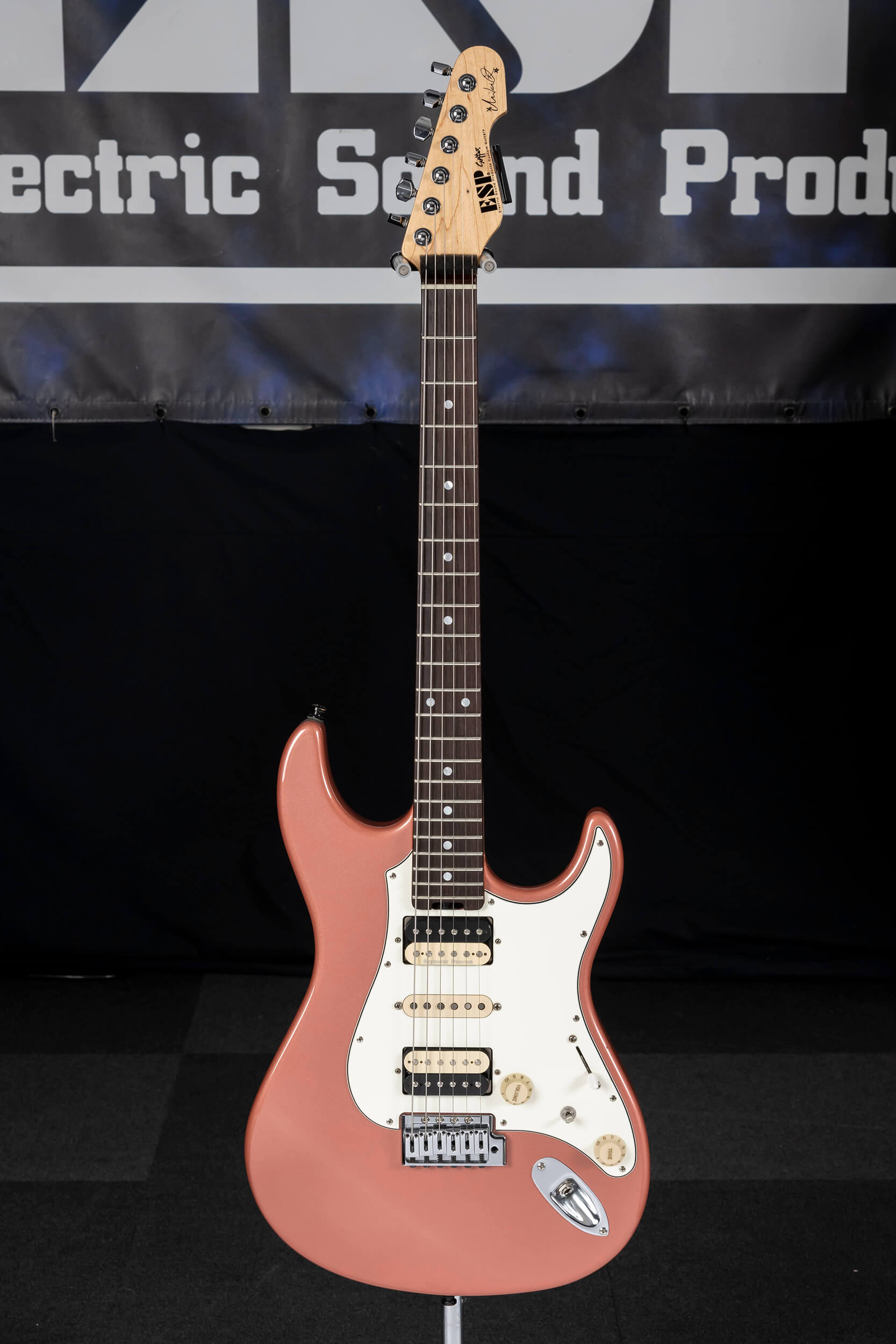 ESP SNAPPER Fujioka Custom