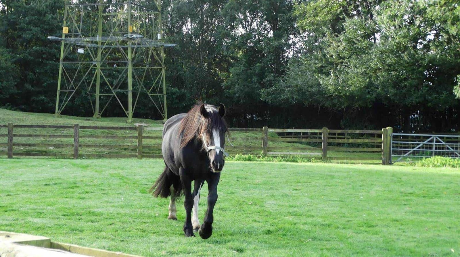 4 Great family attractions in Knowsley