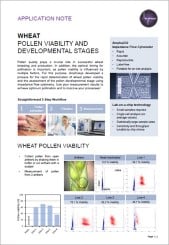 Wheat Pollen Viability and Developmental Stages