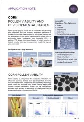 Corn Pollen Viability and Developmental Stages