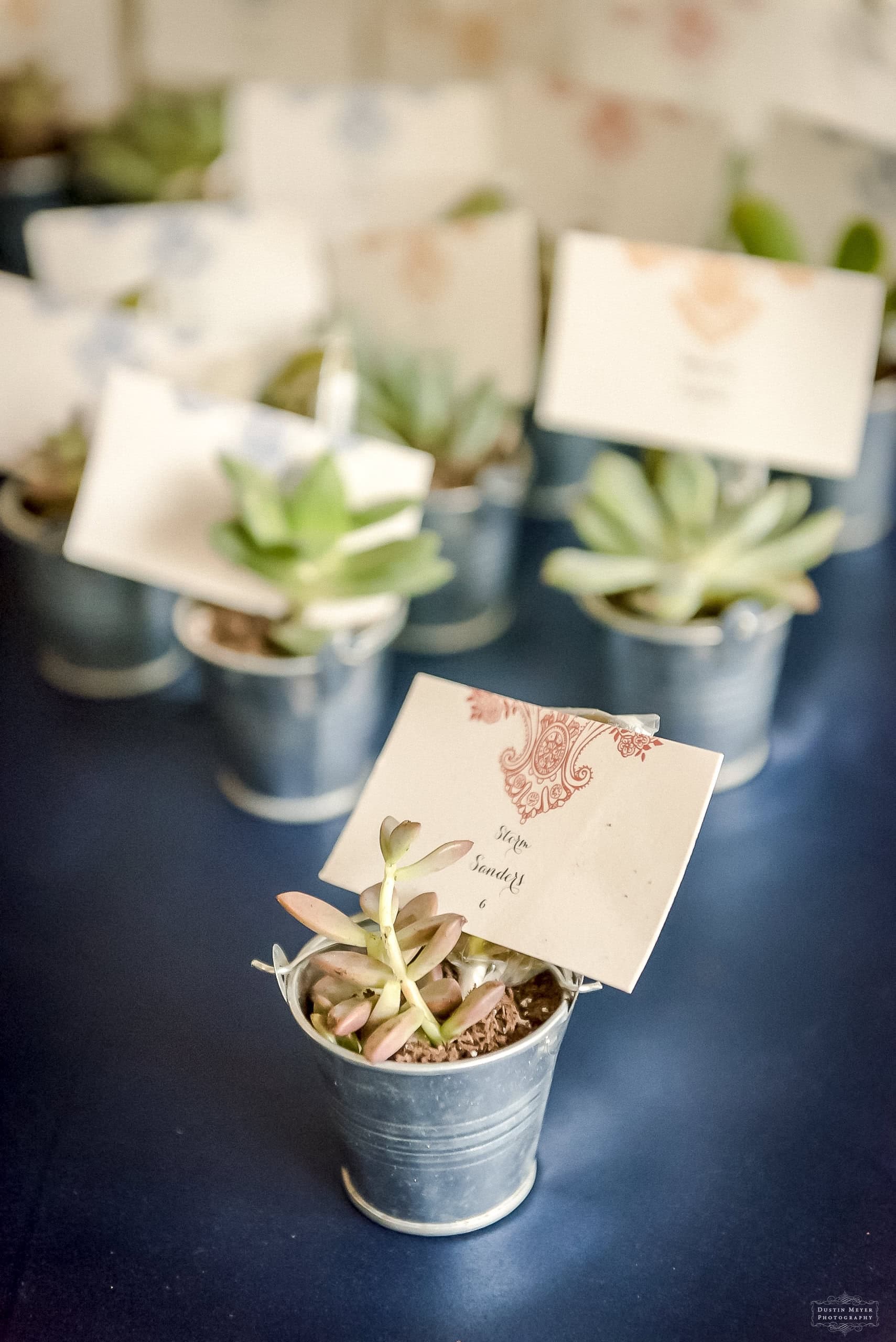 Umlauf Sculpture Garden Austin Wedding wedding placement cards in succulents