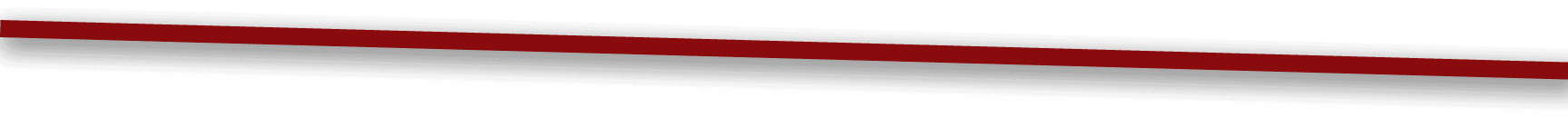 Professional Roof Applicators divider