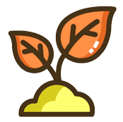 Tree Farm Seedling
