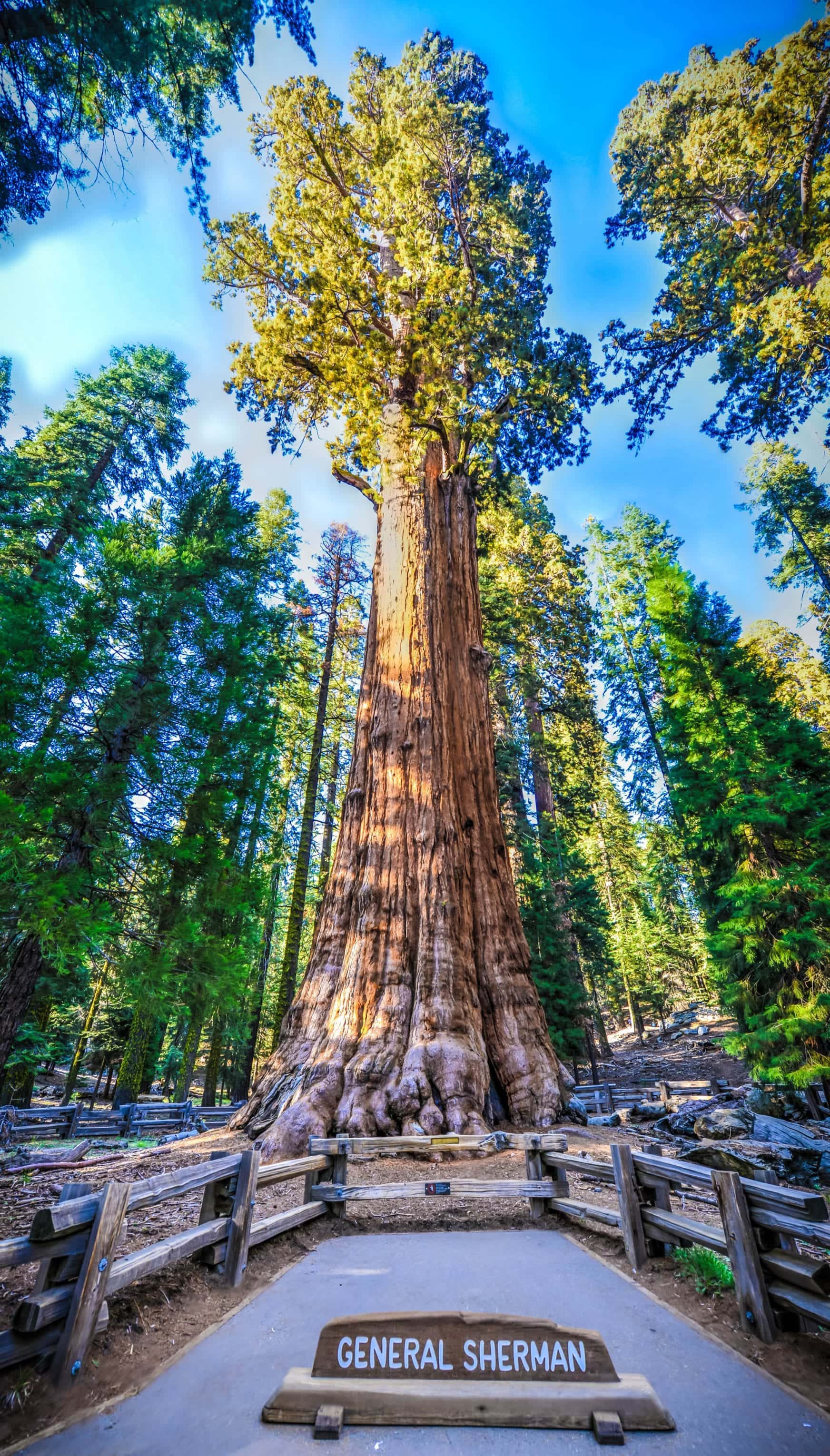 General Sherman