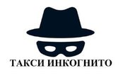 Приватная поездка