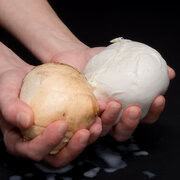 Mozzarella di bufala online