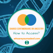 Shared Centimorgans on Ancestry: How to Access?