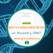 What is an Ancestry DNA Shared Ancestor Hint?
