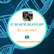 Is the We're Related App Accurate?