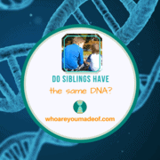 Do Siblings Have the Same DNA?