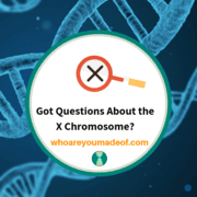 Got Questions About the X Chromosome?
