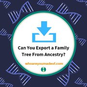 Can You Export a Family Tree From Ancestry?