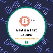 What is a Third Cousin?
