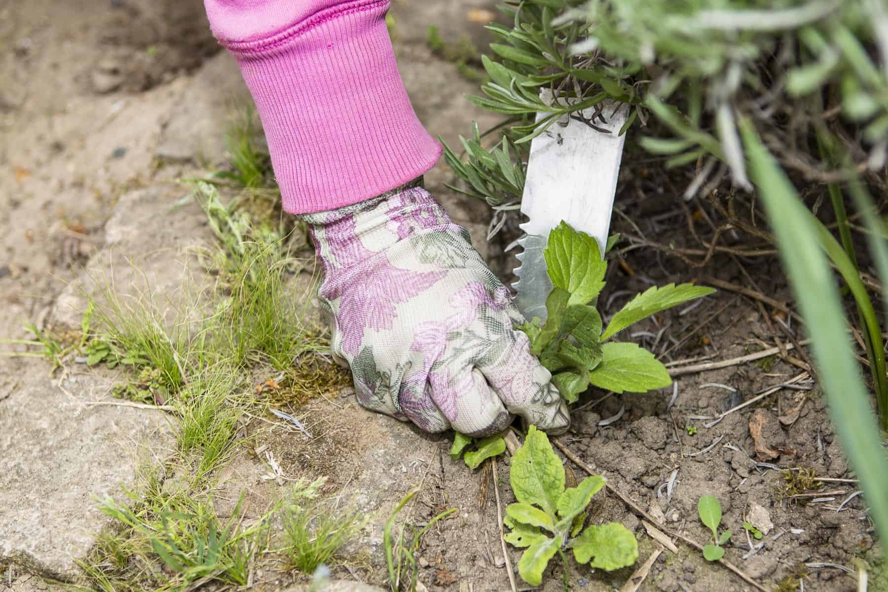 gartenhandschuhe 5