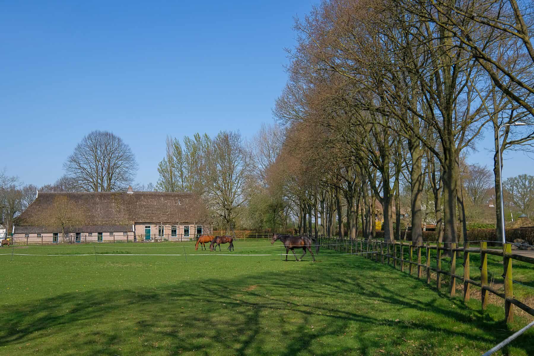 Foto wandelgebied Wachtum-Dalen