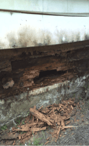 CAStructural
