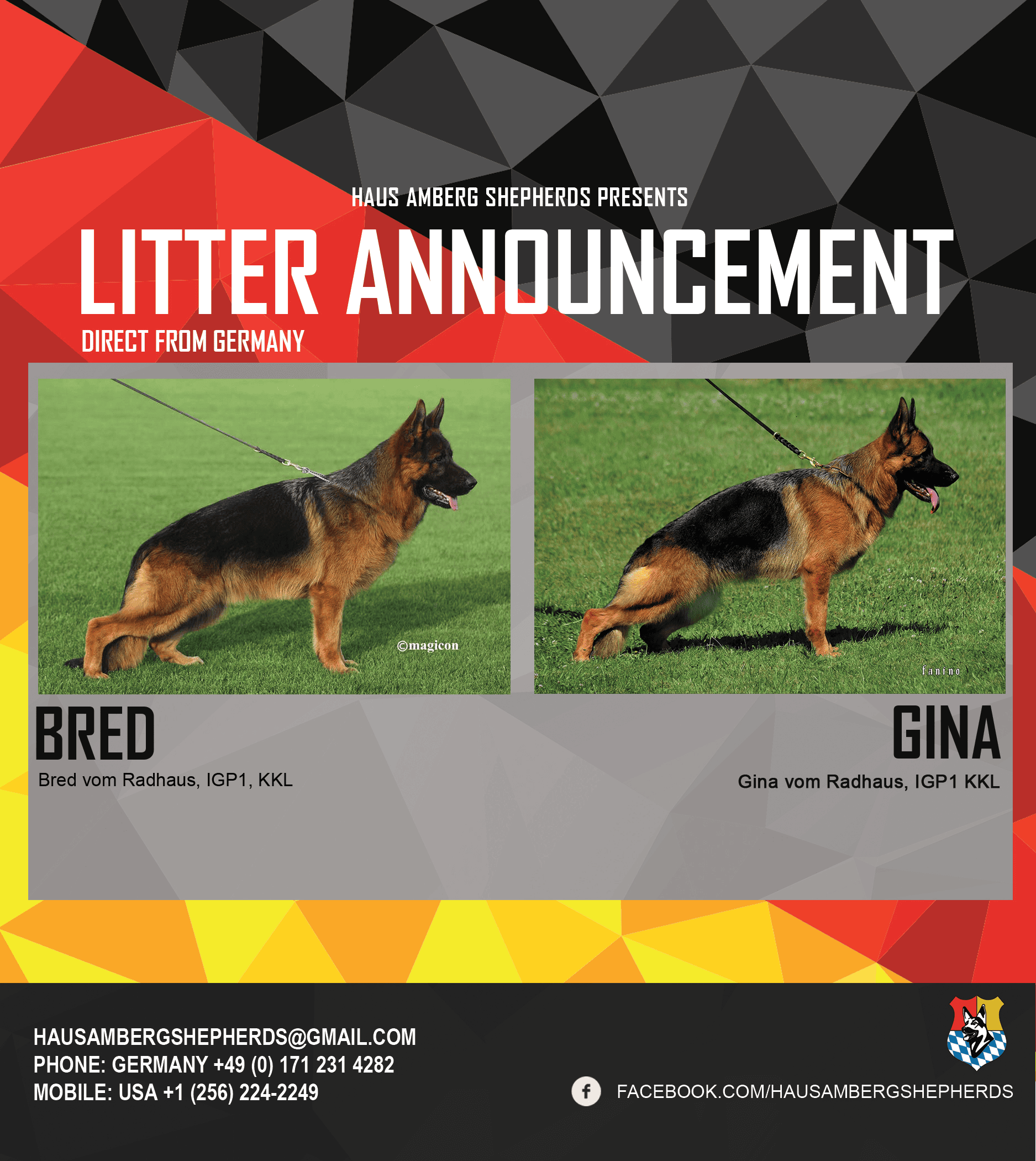 Bred-GIna
