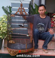 TEGUH DAN MONSTER TEGUH DAN MONSTER