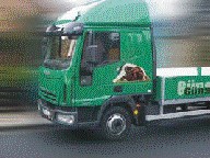 Auslieferungsfahrzeug Günstige Hundezwinger