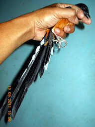 MB SABANG MB SABANG