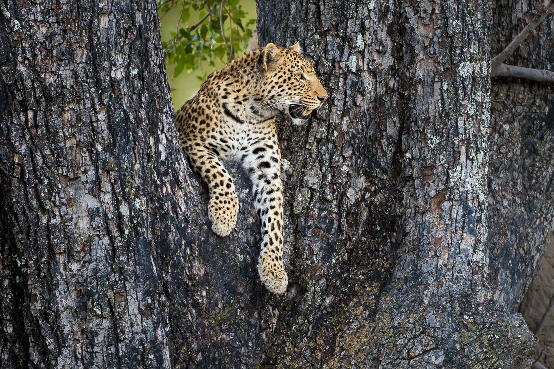Vumbura_2015-03-307e