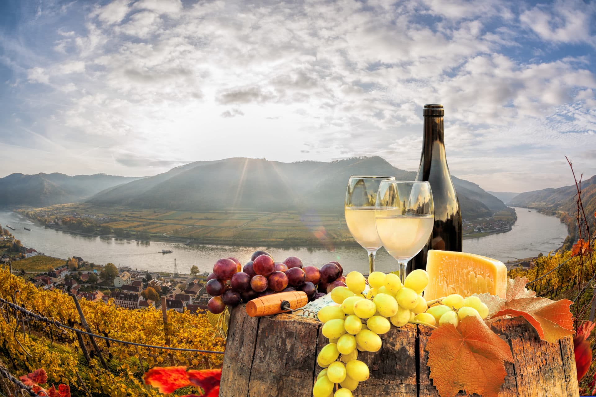 White wine with barrel on famous vineyard in Wachau, Spitz, Austria