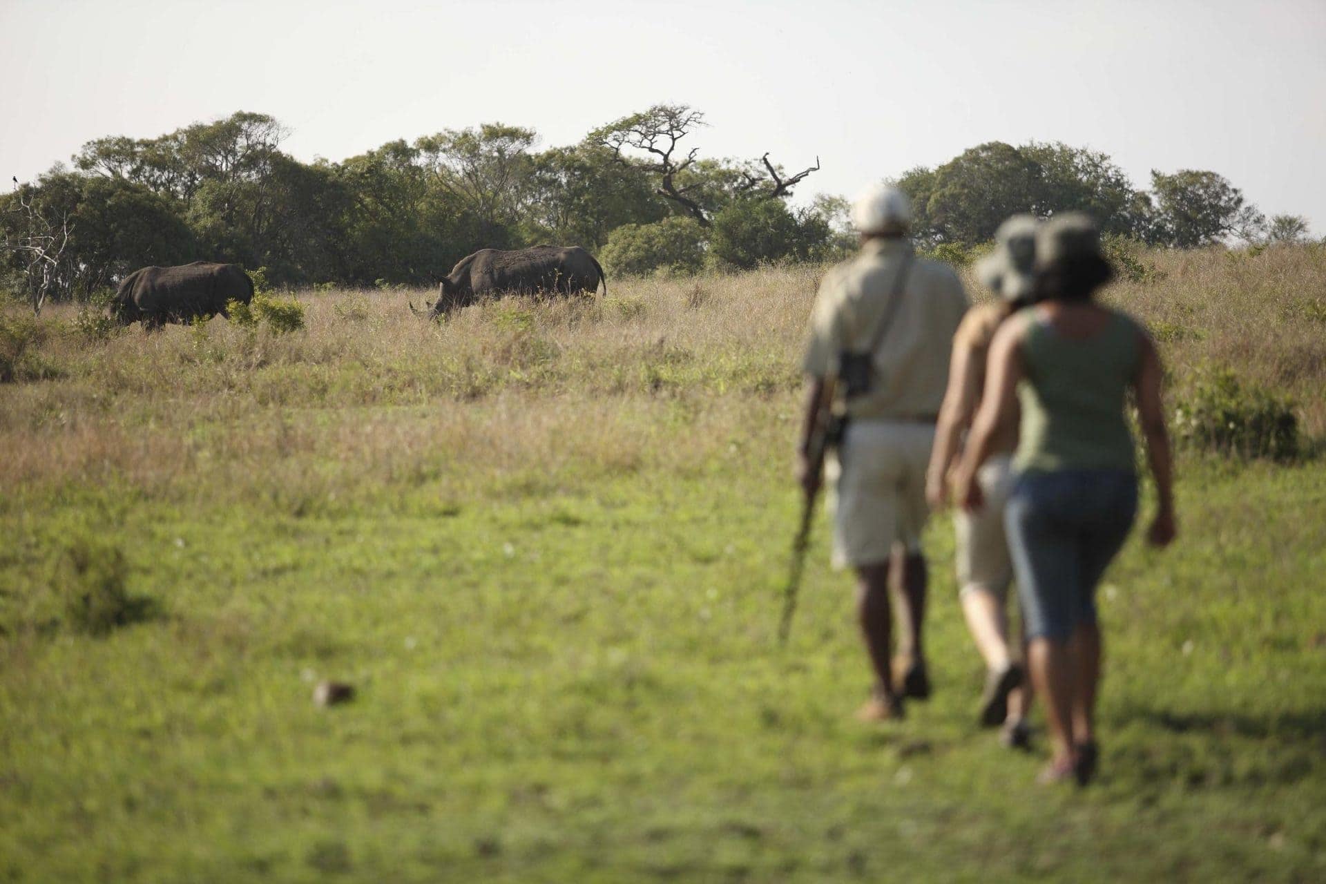 phinda_mountain_2013-23