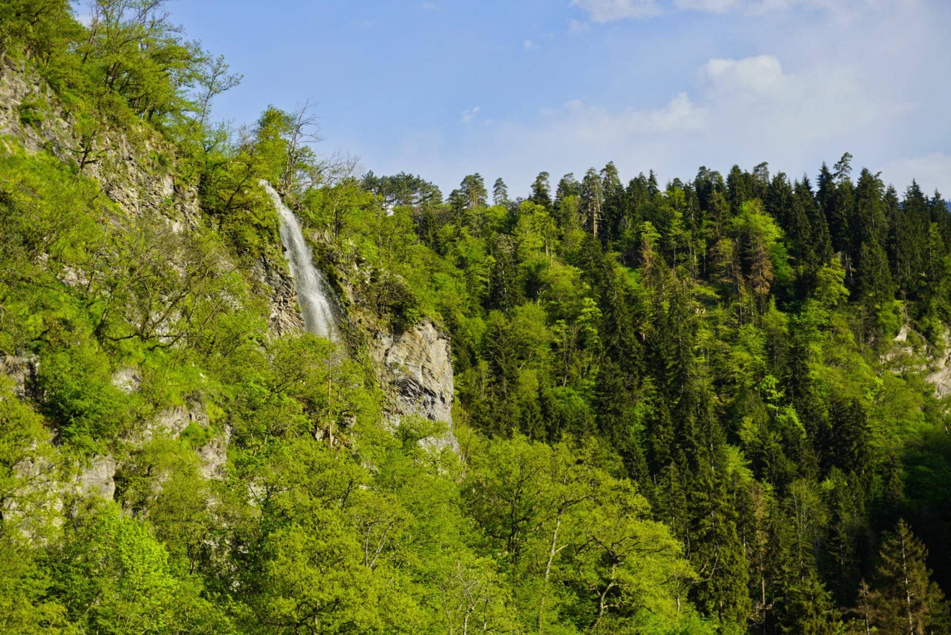 Borjomi, Georgia - Experiencing the Globe