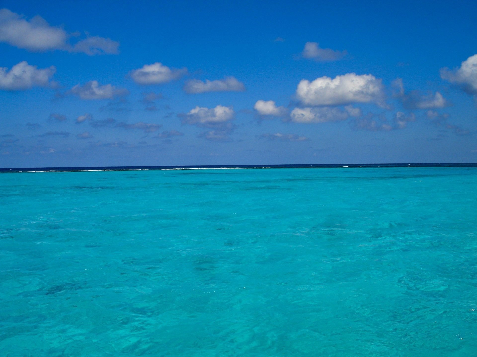 Stingray City, Cayman Islands - Experiencing the Globe