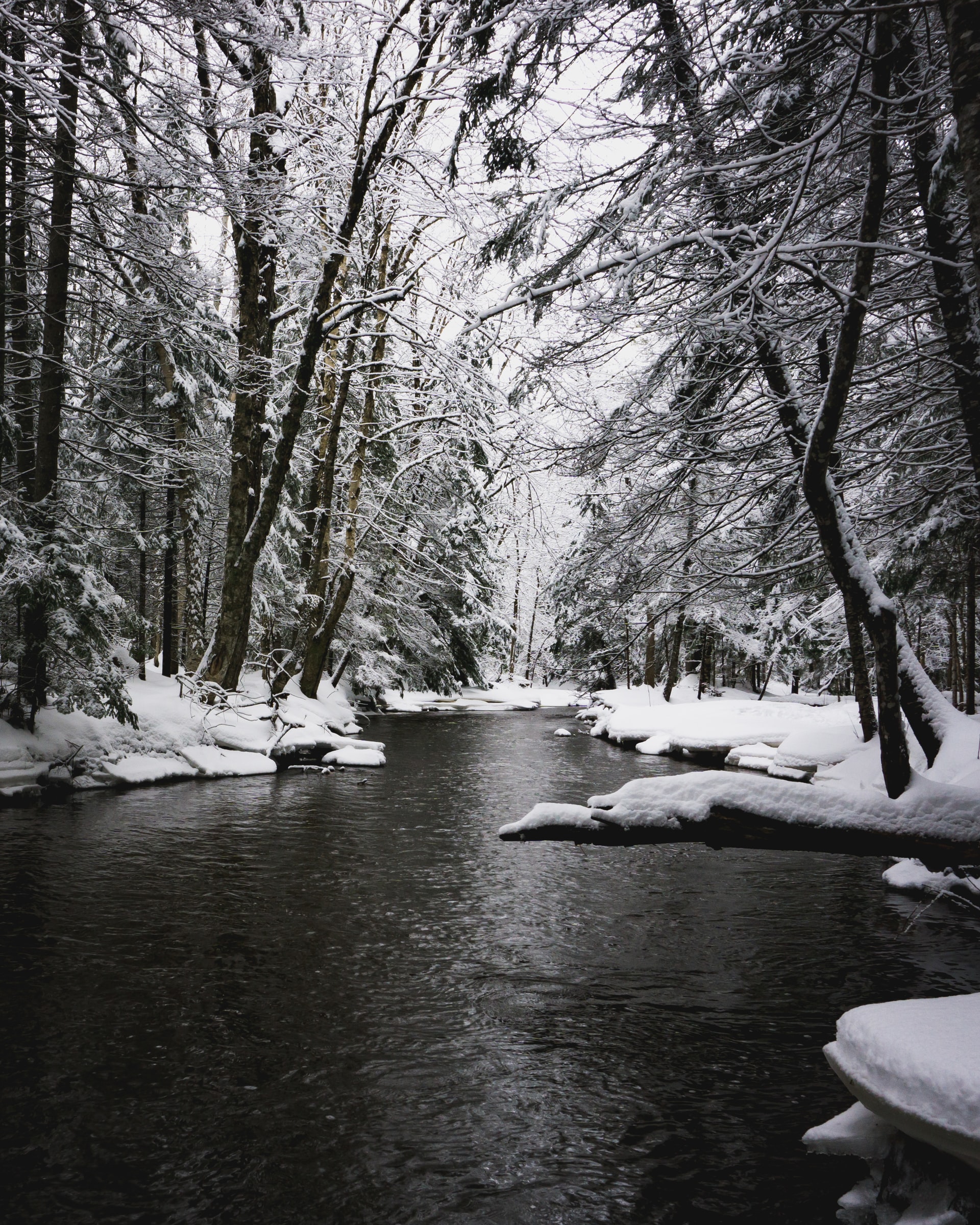snowy forest river