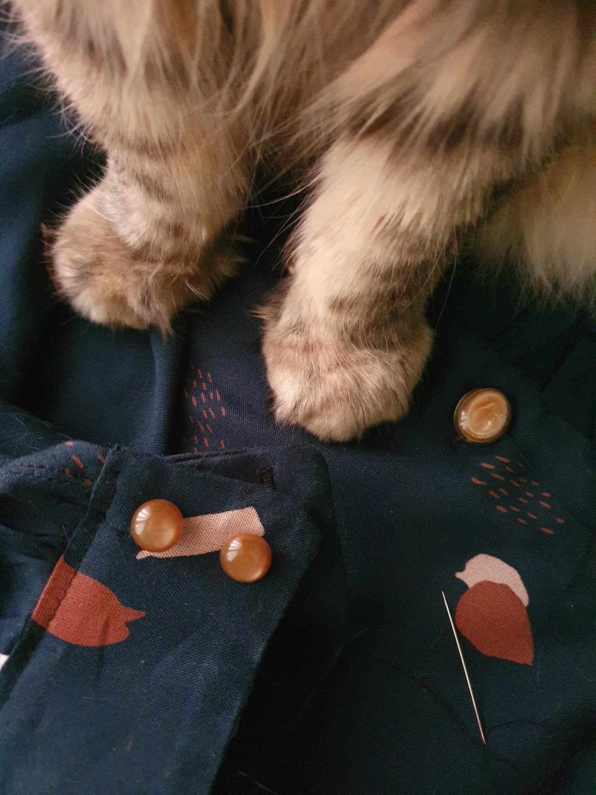 couture-et-paillettes-chemisier-wendy-sophie-denys-couture-berlioz-boutons