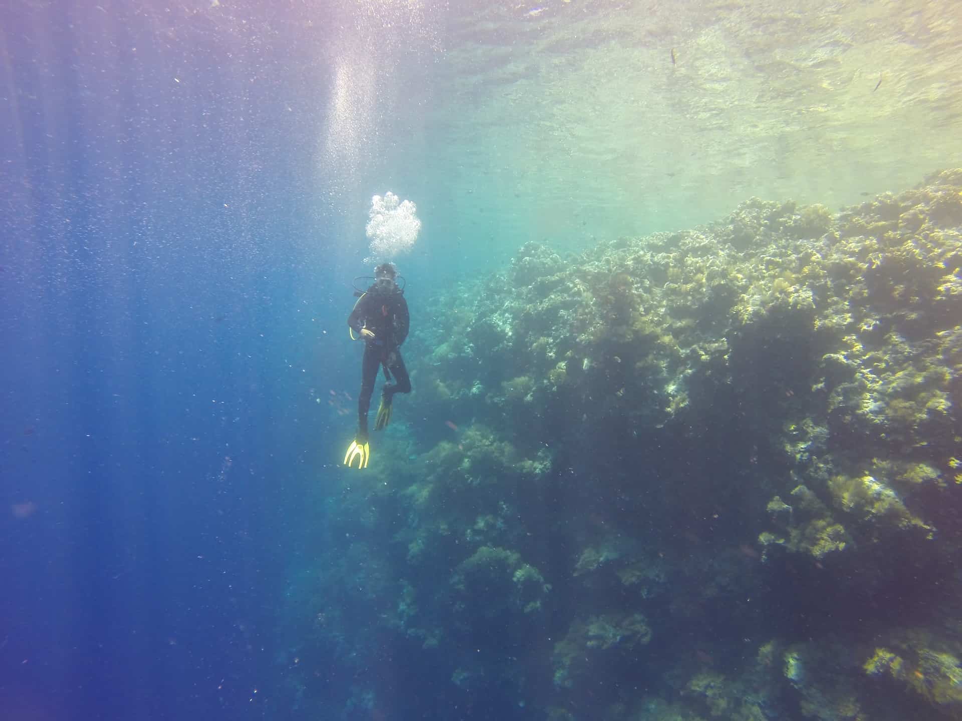 Partial Pressure and Diving Partial Pressure and Diving