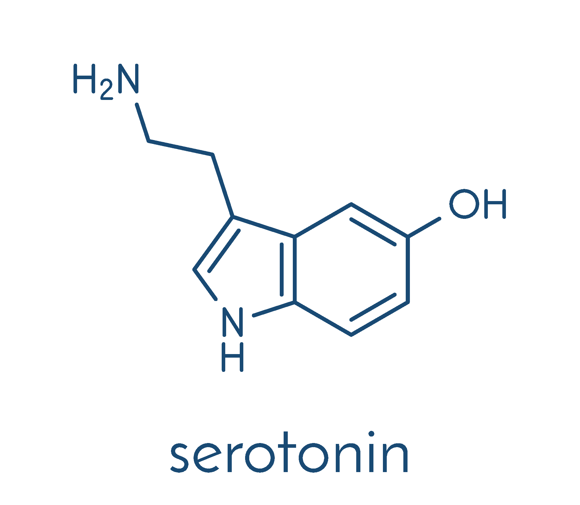 serotonin Die Funktionen von Serotonin sind vielfältig, hier ein kleiner Auszug davon: Herz-Kreislauf-System - Blutdruck, Gefäßmuskulatur Blutgerinnung Magen-Darm-System - Übelkeit, Erbrechen, Peristaltik Zentrales Nervensystem - Schlaf, Körpertemperatur, Schmerzempfindung, Schmerzverarbeitung Stimmungslage Appetit
