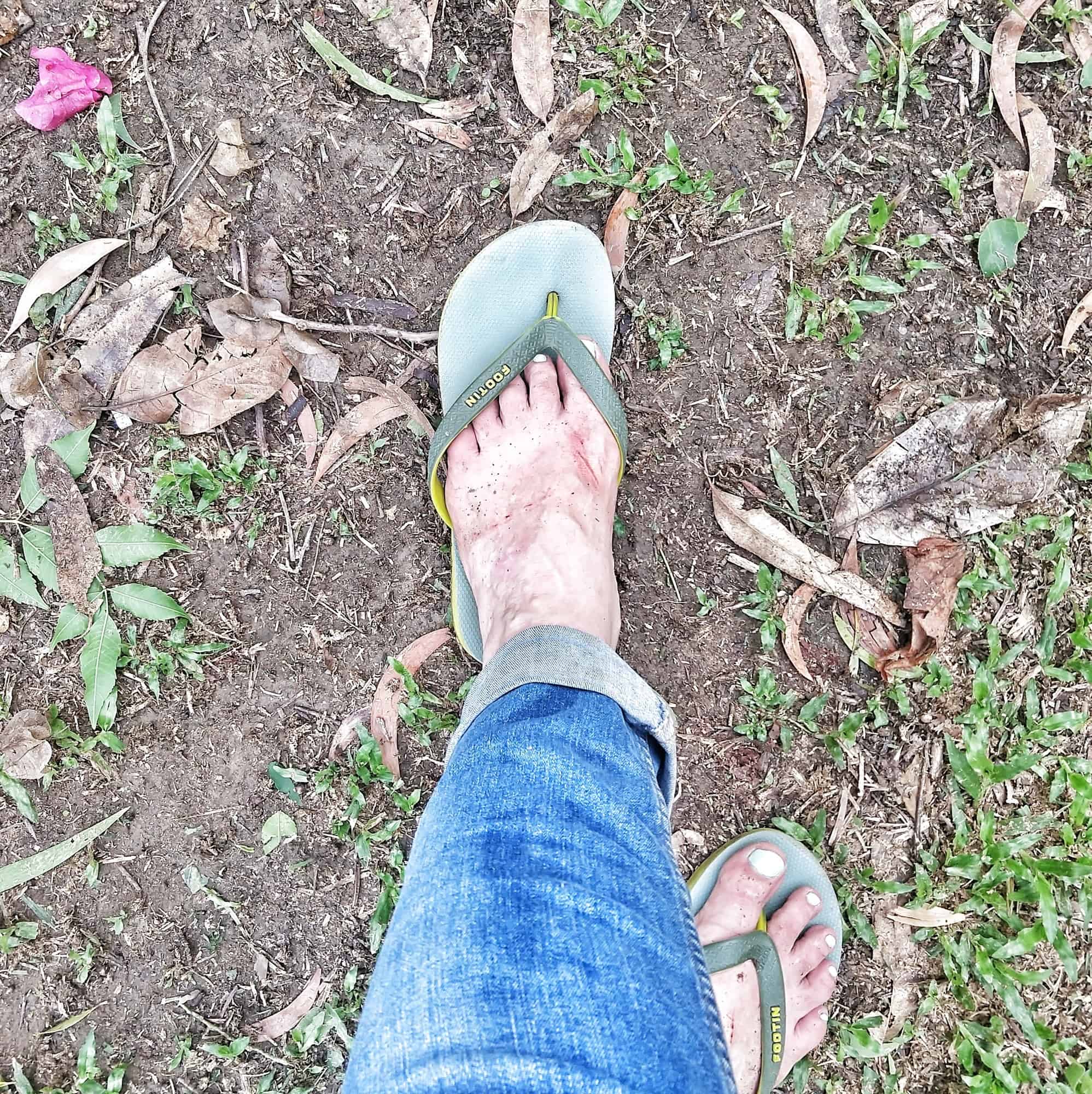 returning to a neglected garden after long term travel