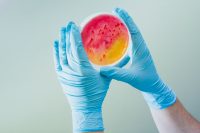 Data Quantify Value of Physician Ed in Reducing Antibiotic Prescriptions Data Quantify Value of Physician Ed in Reducing Antibiotic Prescriptions