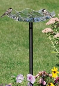 Beautiful Bird Bath beautiful glass bird bath with birds perched on the side of it.
