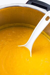 Pressure Cooker Butternut Squash Soup