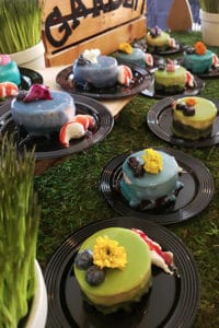Cheesecake - Sweet Wars