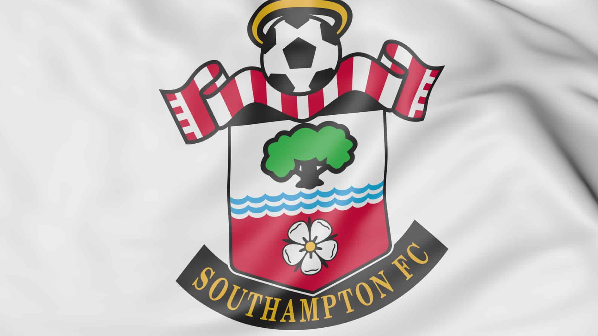 Southampton v Manchester City