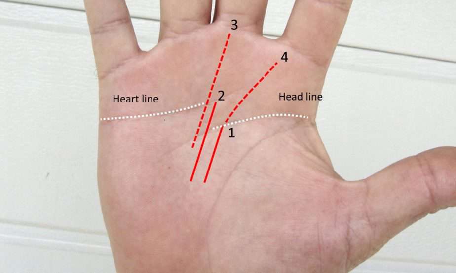 Career Fate Line Success Prediction From Your Palm - Destiny Palmistry