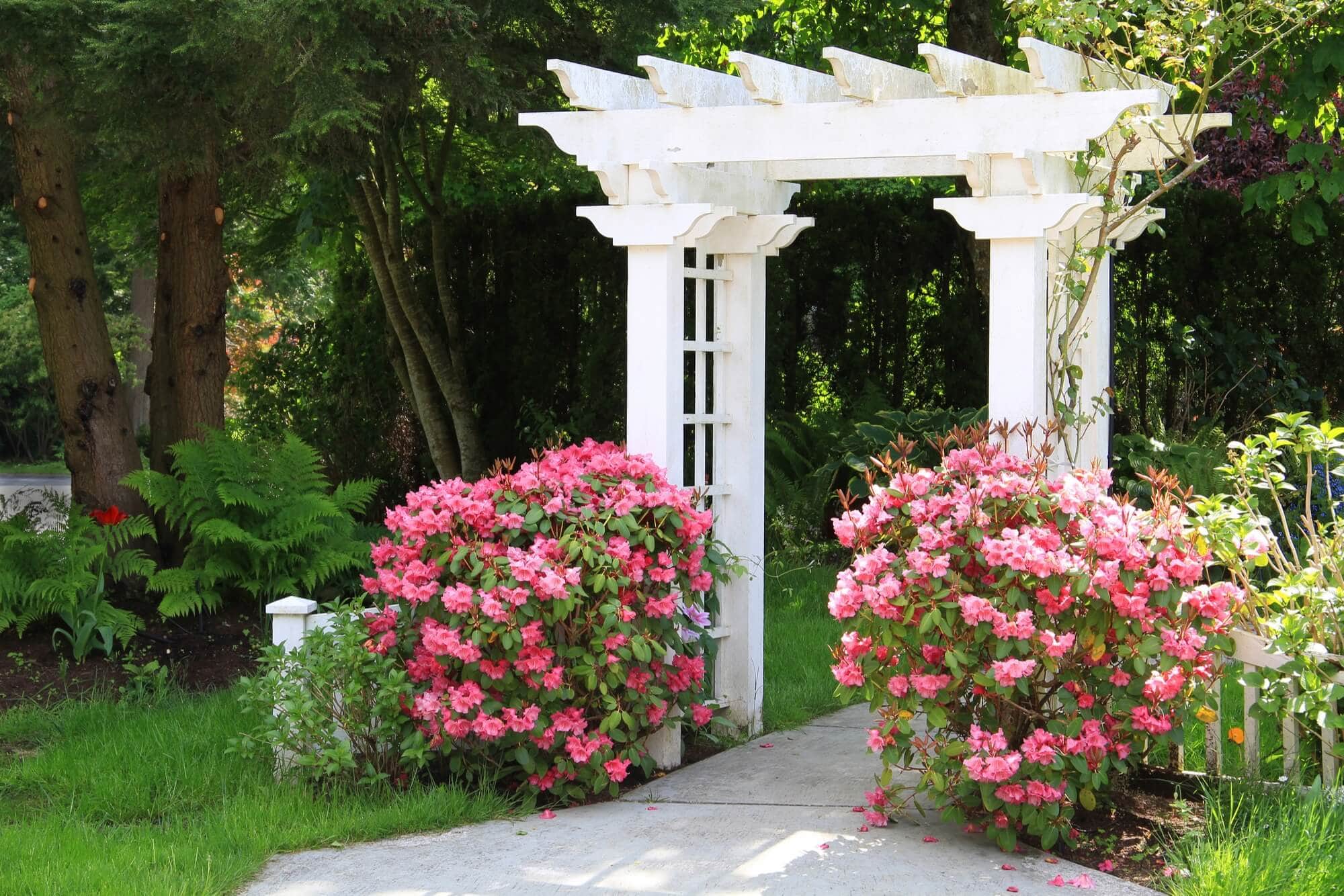 ARBOR SUN SHADE FOR PATIO