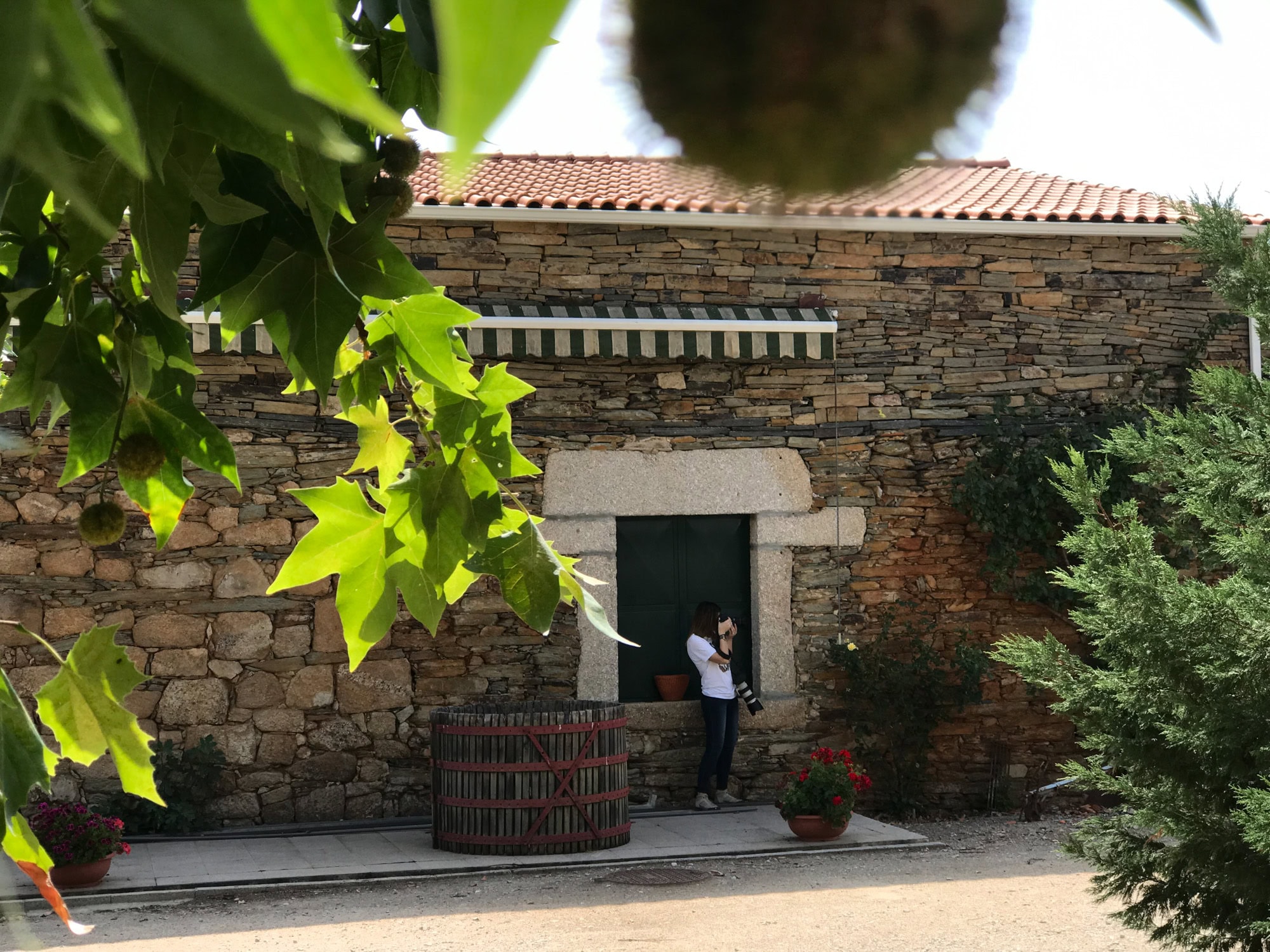 Casal dos Capelinhos, Quinta Nova, fotografia de espaços, fotografia de garrafas vinho, quintas, doc douro, vinhos doc, região demarcada do douro, ruidacruz
