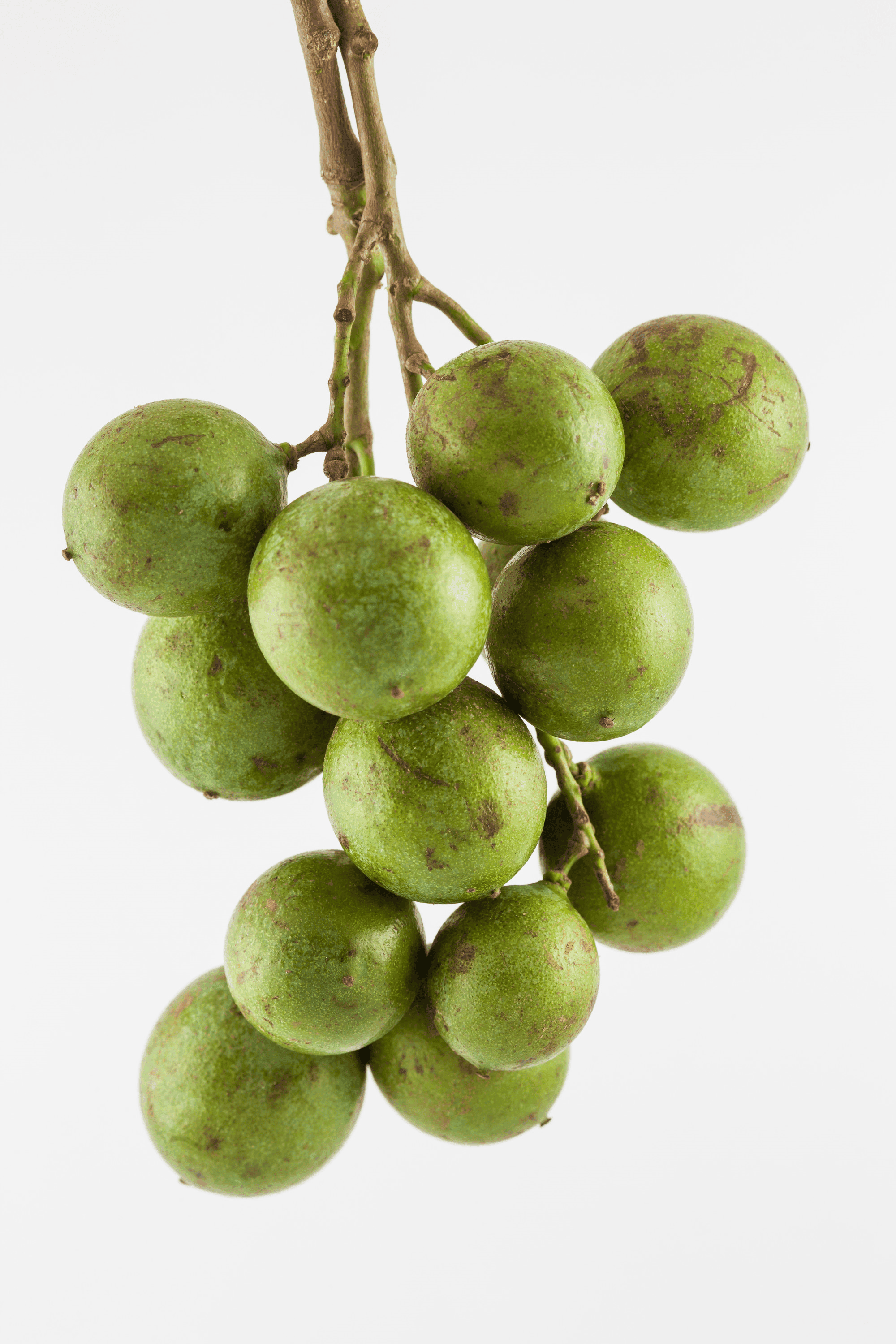 Guinep Fruit Healthier Steps