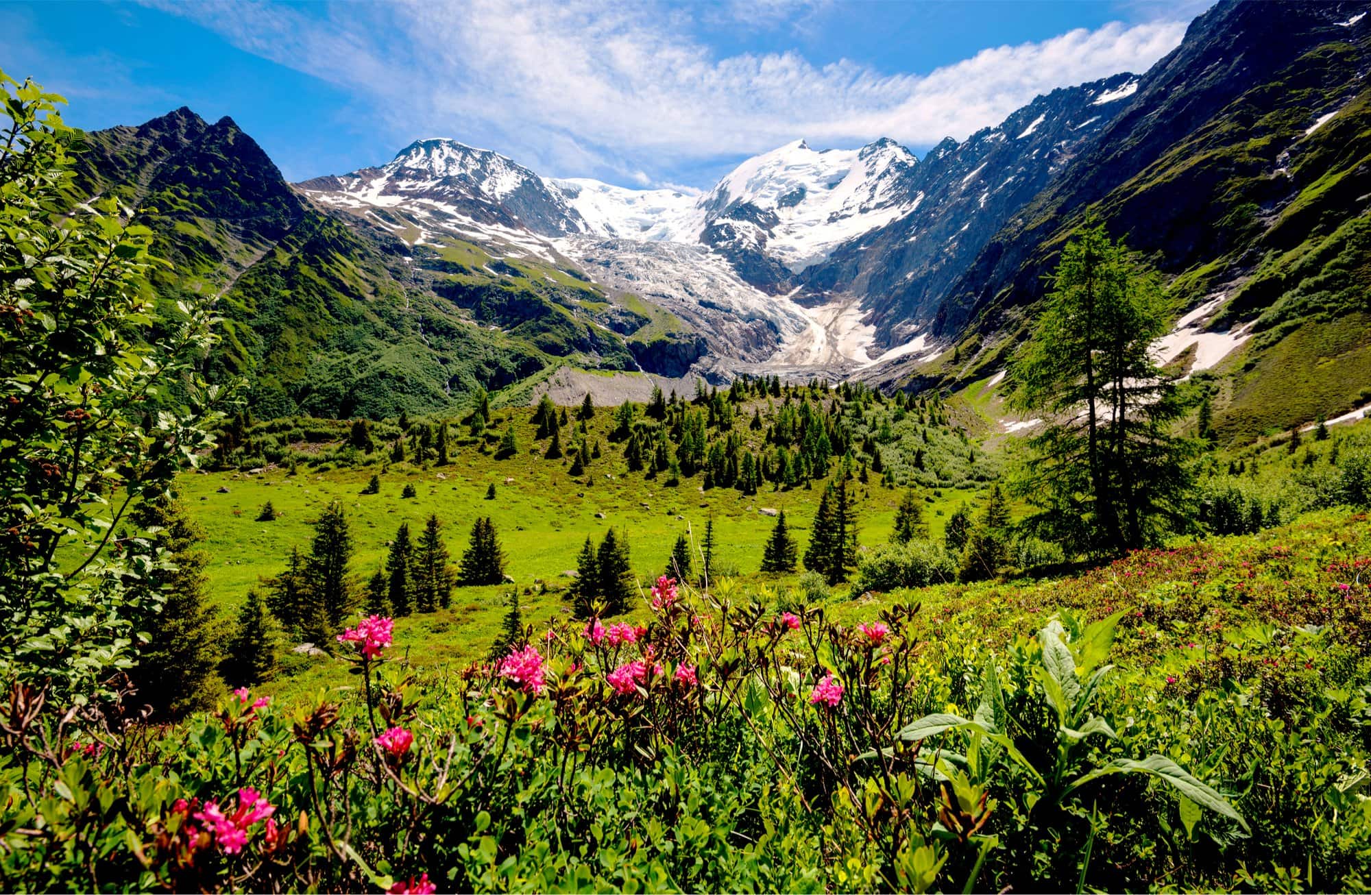Tour du Mont Blanc Highlights in Comfort, walking holidays in Swit`erland