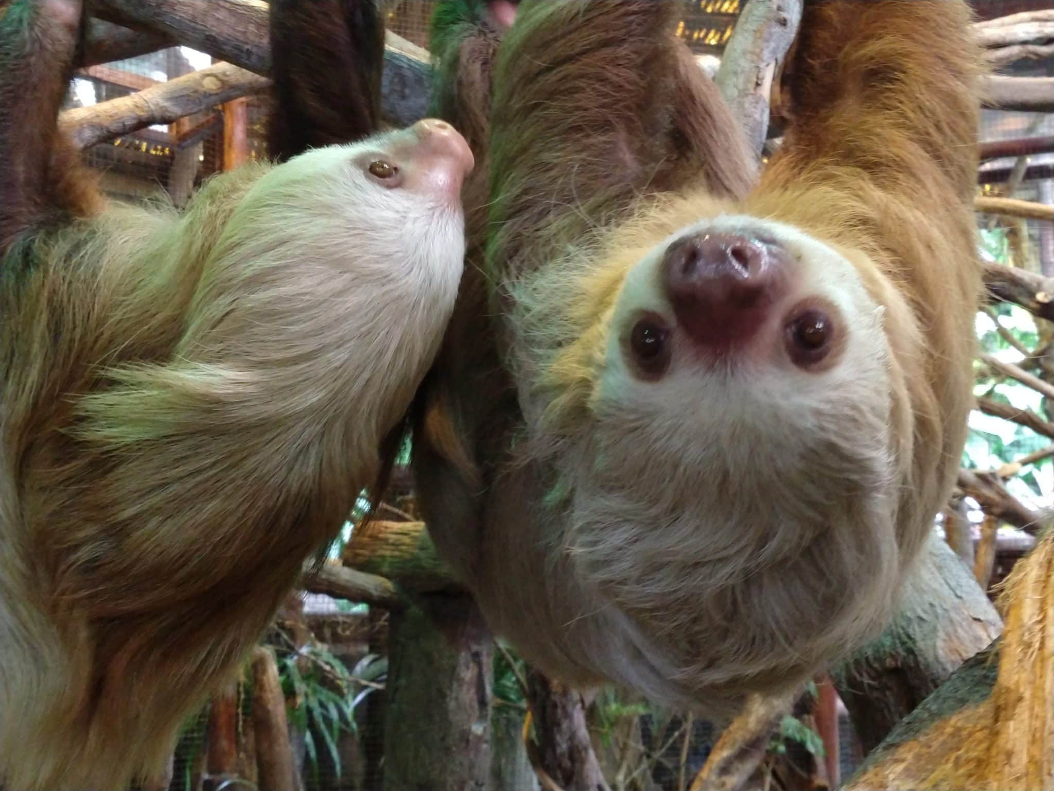 3 Wonderful Nights in Atenas, Costa Rica 25